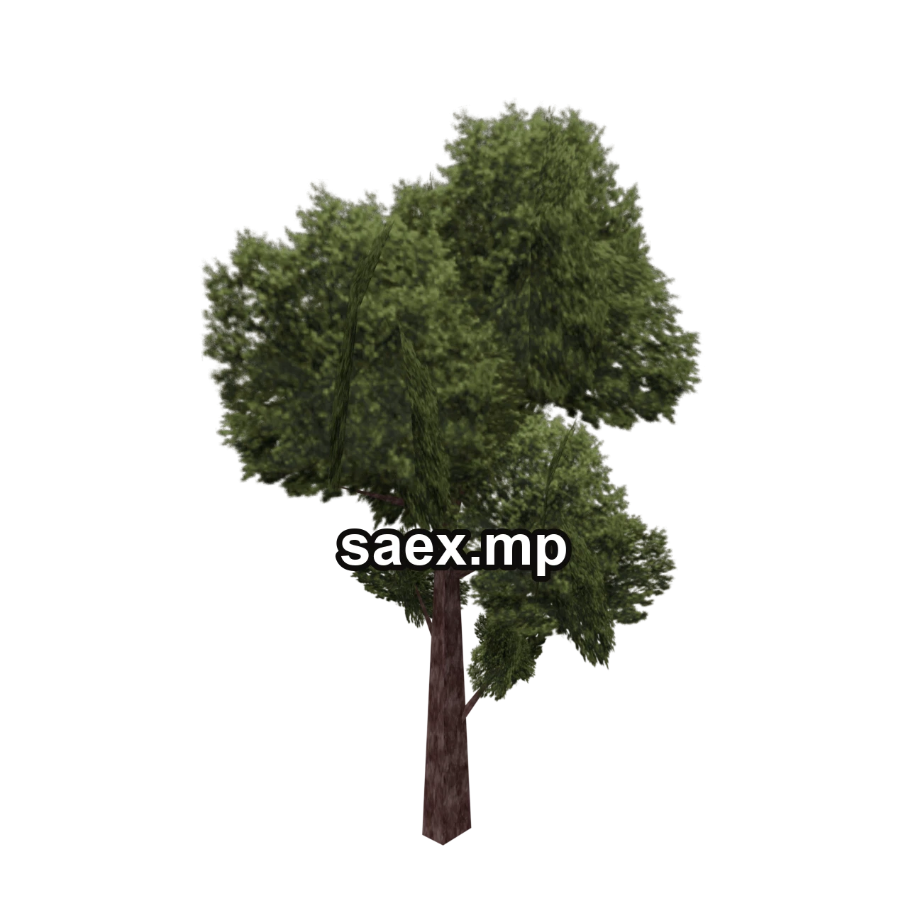 Object preview · veg_tree3