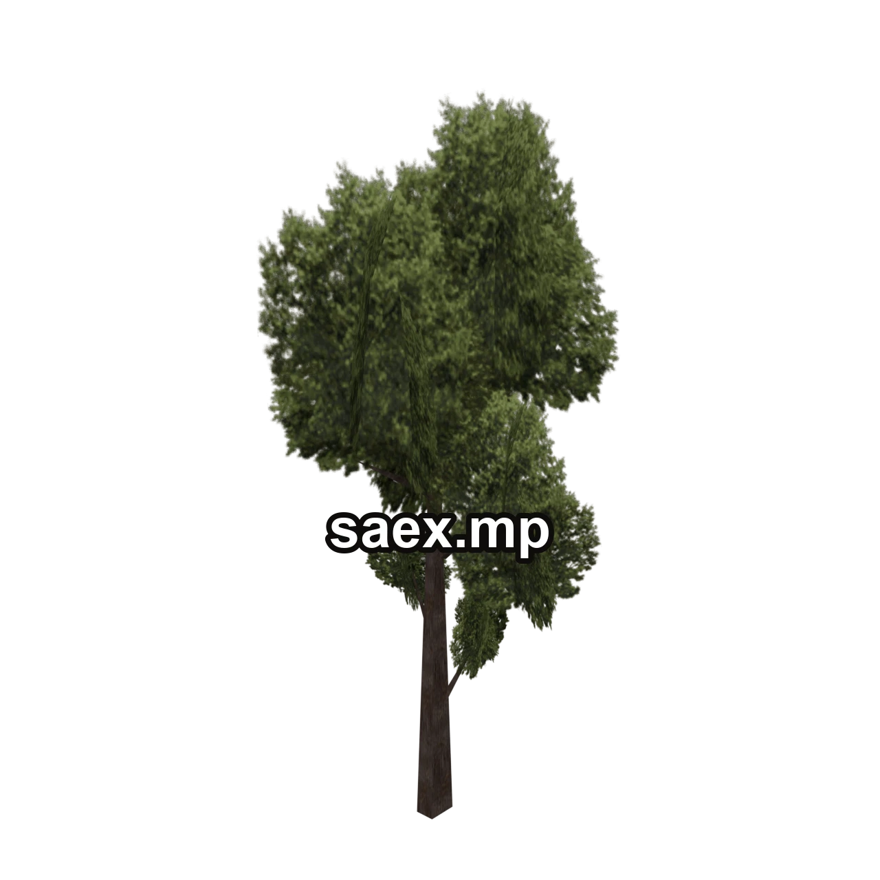 Object preview · veg_treea1