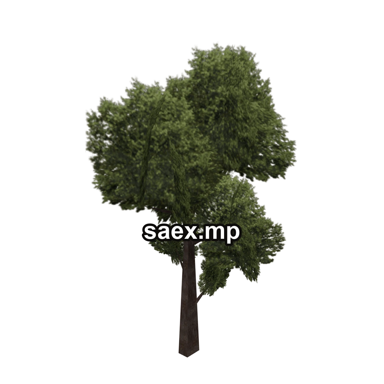 Object preview · veg_treeb1