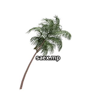 Object preview · veg_palm03