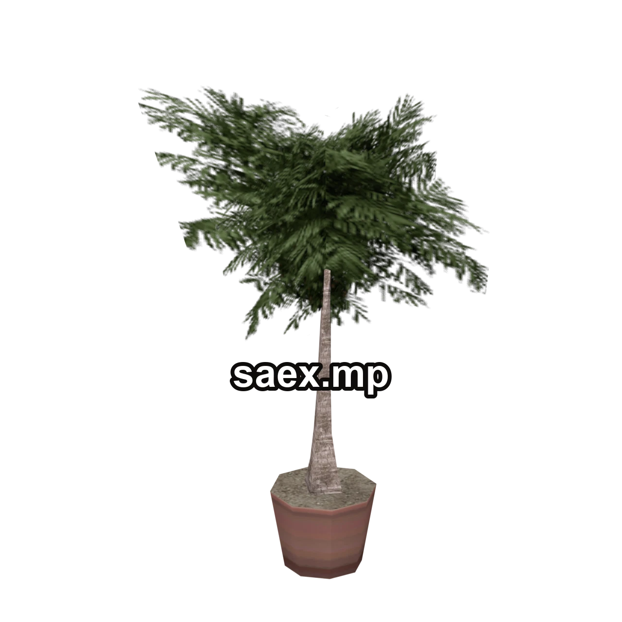 Object preview · veg_palmkb1