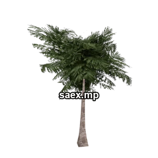 Object preview · veg_palmkb5