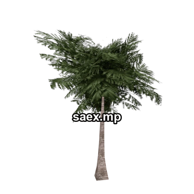 Preview of veg_palmkb5, model 629