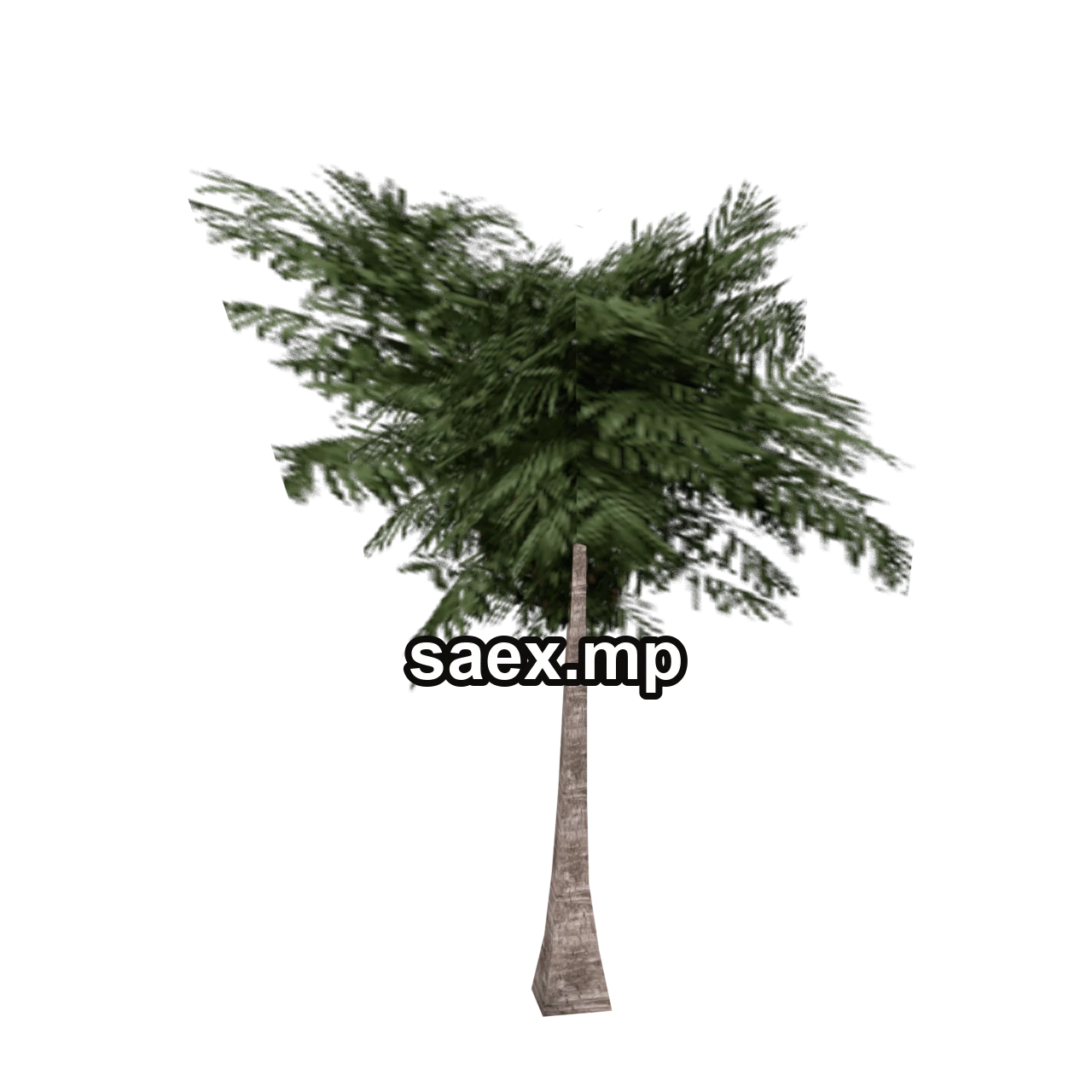 Object preview · veg_palmkb5
