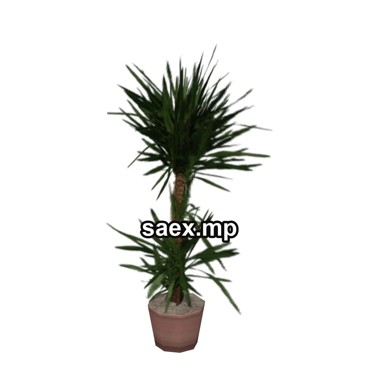 Object preview · veg_palmkb8
