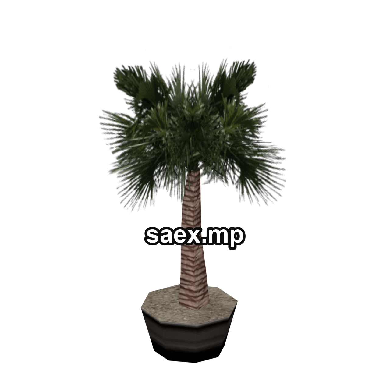 Object preview · veg_palmkb10