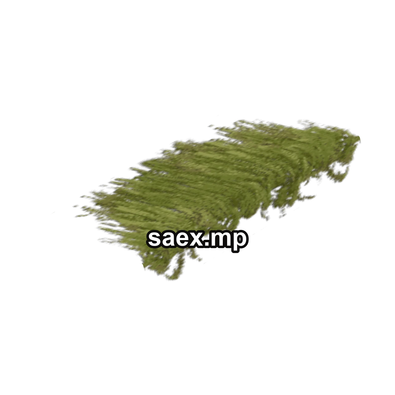 Object preview · veg_fern_balcny_kb1