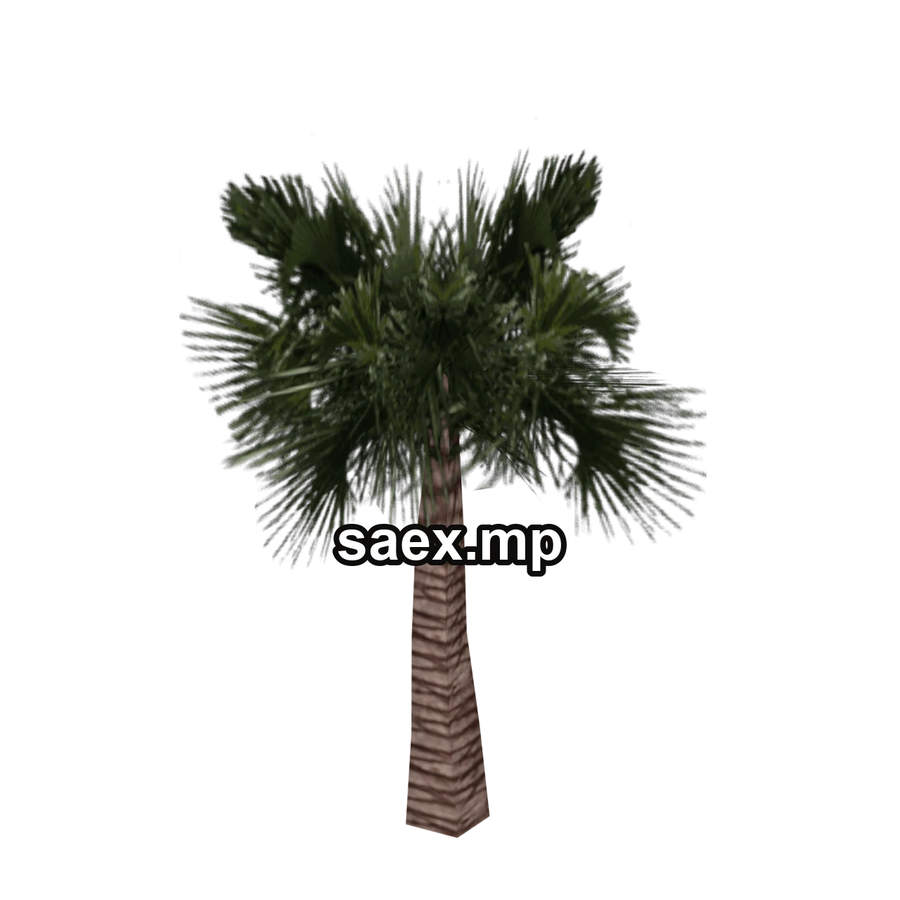 Object preview · veg_palmbig14