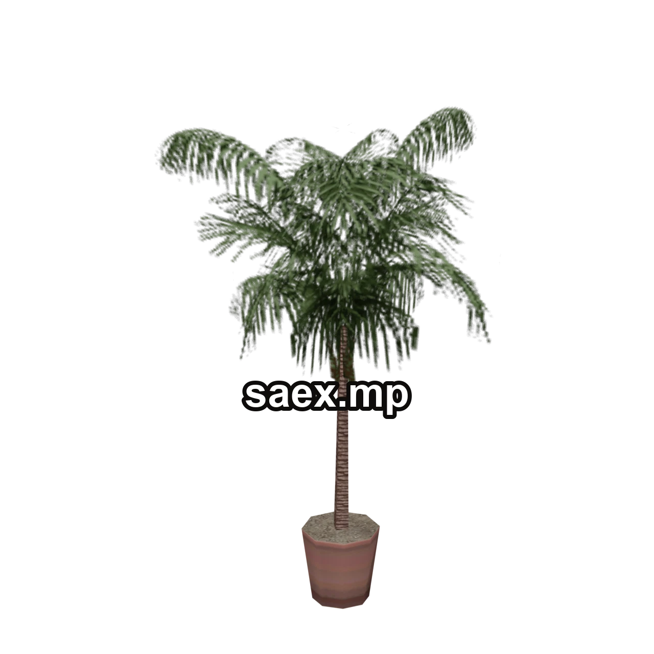 Object preview · veg_palmkb14