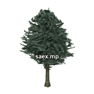 Object preview · pinetree06