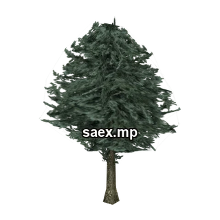 Object preview · pinetree02