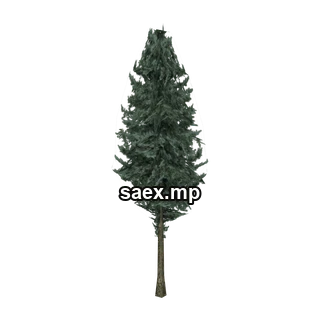 Object preview · pinetree04