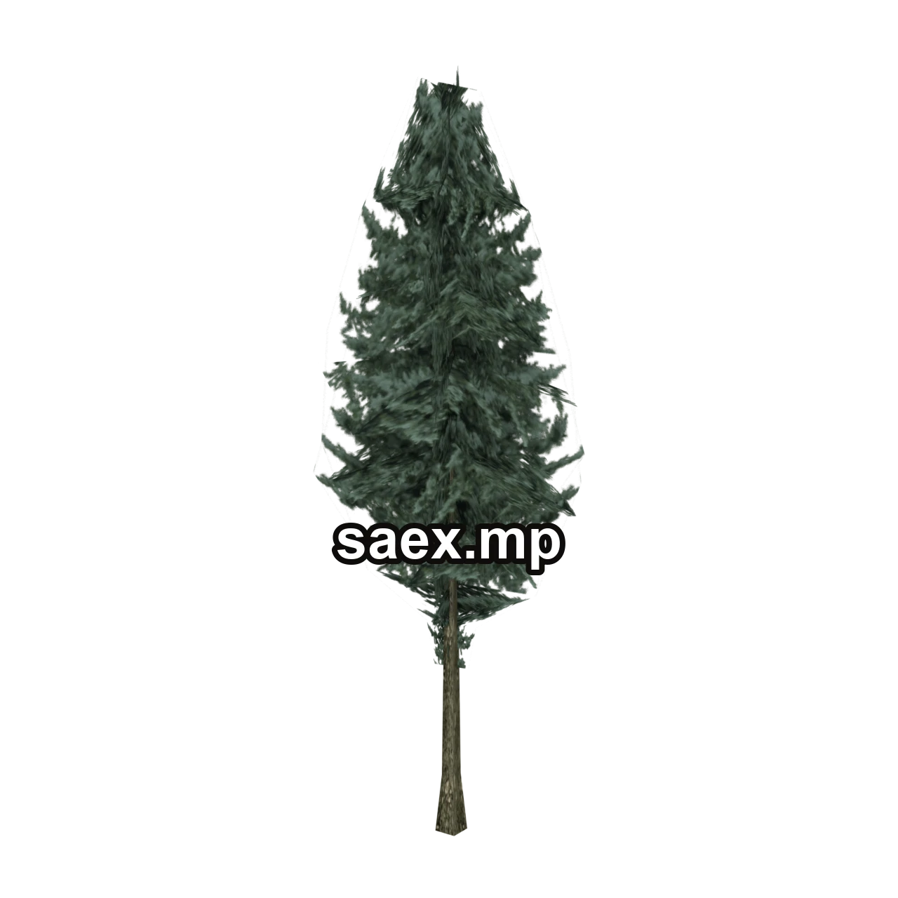 Object preview · pinetree04