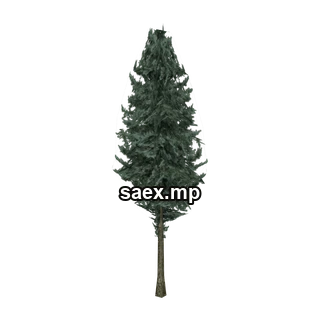 Object preview · pinetree01