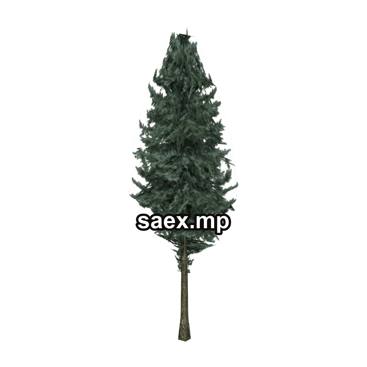 Object preview · pinetree01
