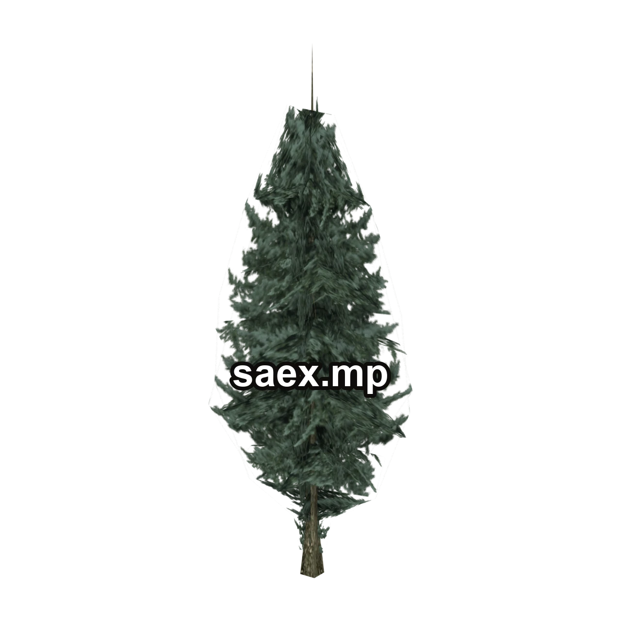 Object preview · pinetree03