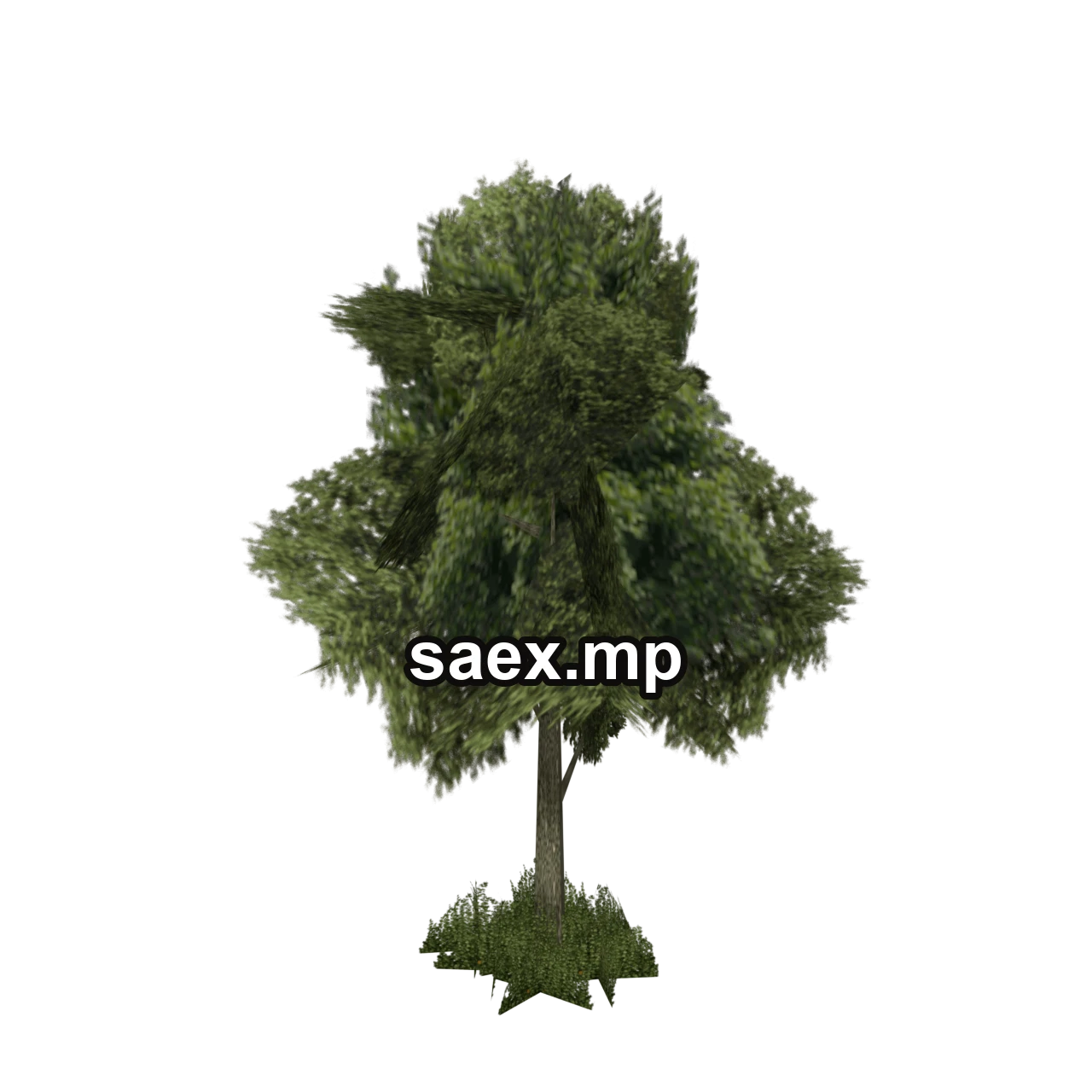 Object preview · sm_veg_tree4