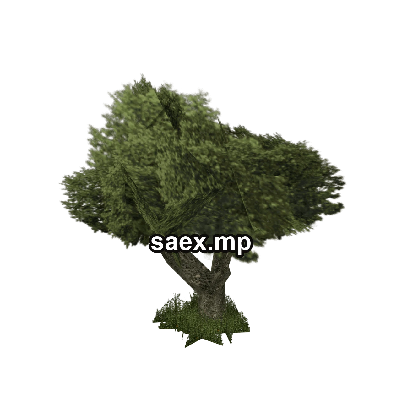 Object preview · sm_veg_tree5