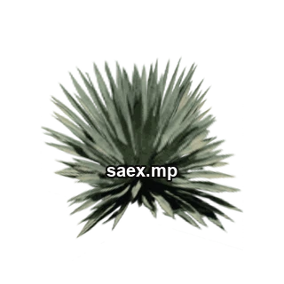 Object preview · sm_des_agave2