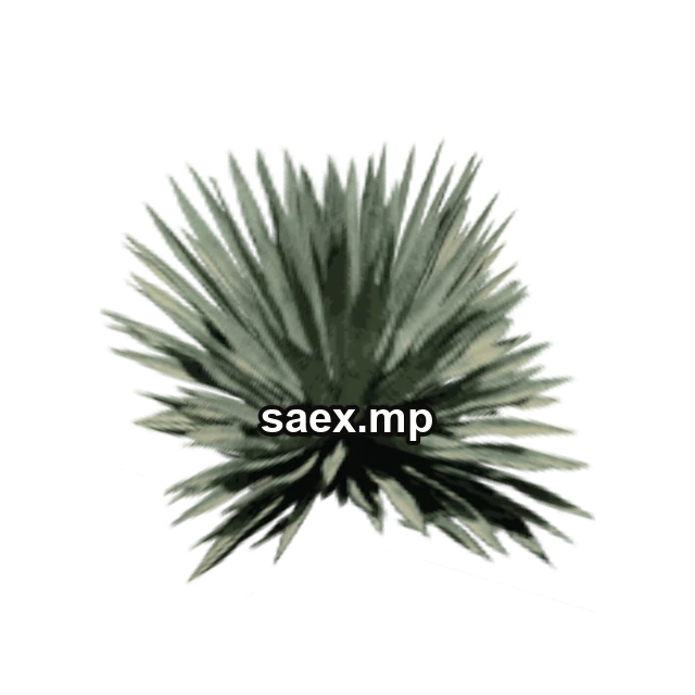 sm_des_agave2 önizlemesi, model 678