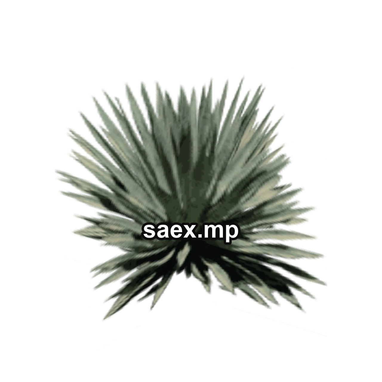 Object preview · sm_des_agave2