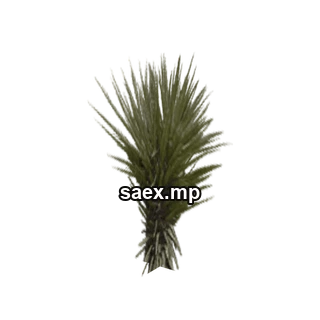 Object preview · sm_des_cact_bsh