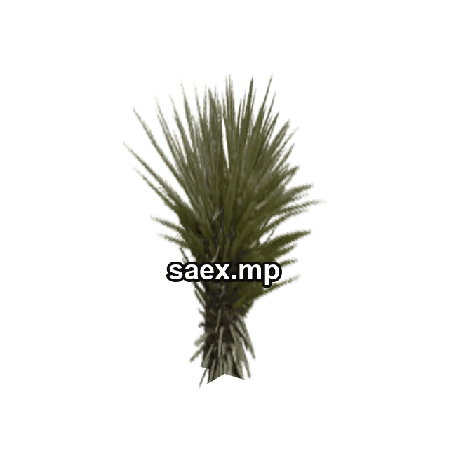 sm_des_cact_bsh önizlemesi, model 679