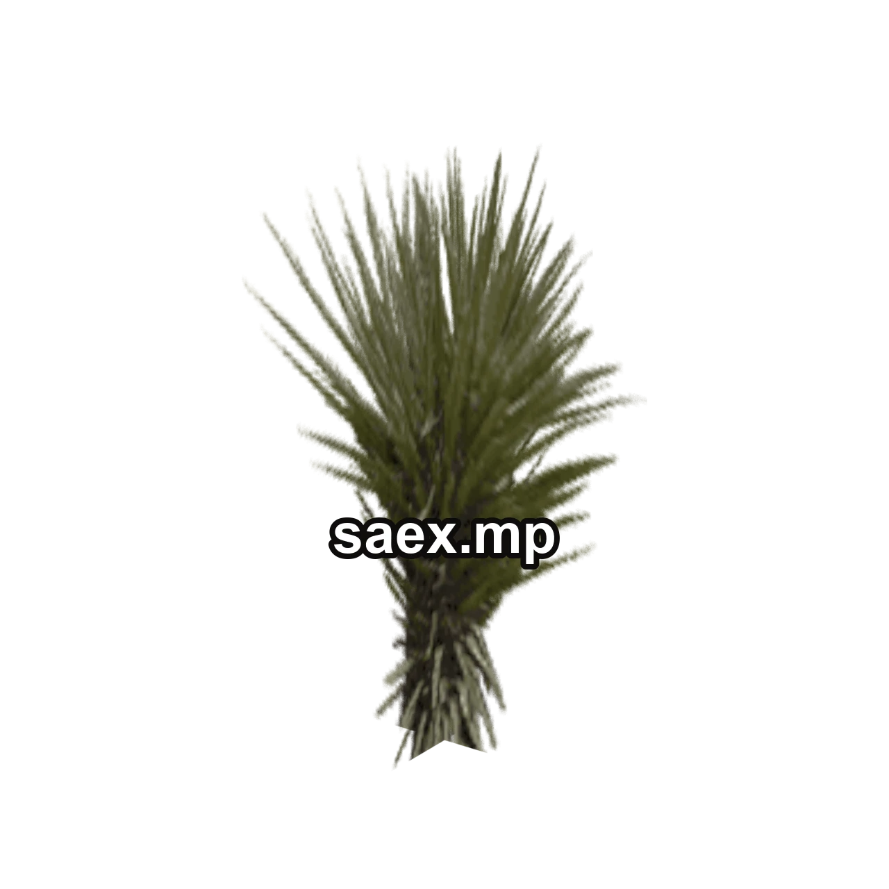 Object preview · sm_des_cact_bsh