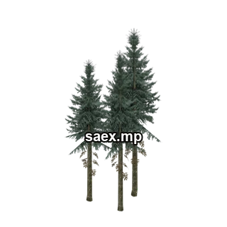 Object preview · sm_fir_group