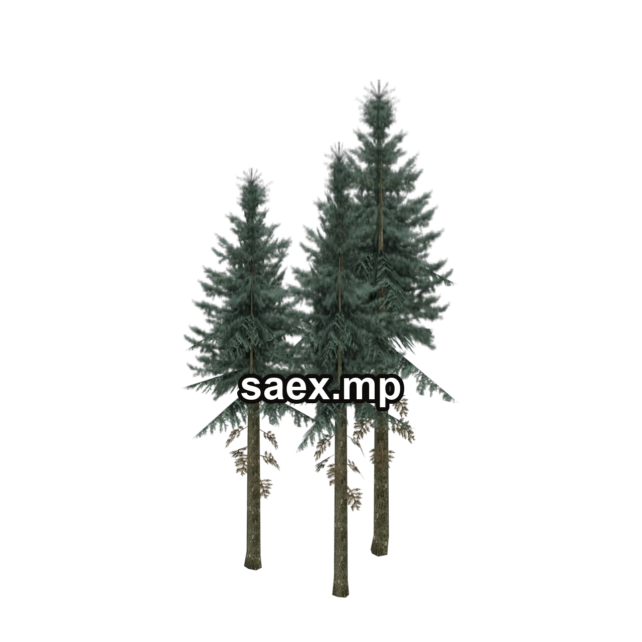 Object preview · sm_fir_group
