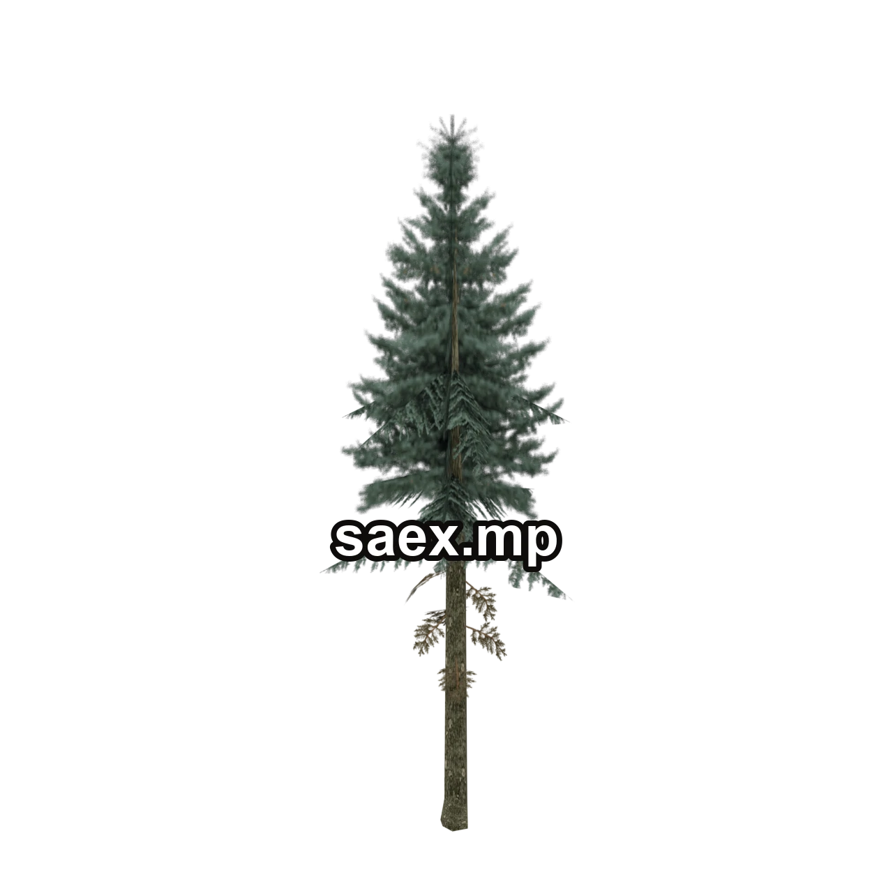 Object preview · sm_fir_