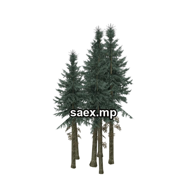 sm_fir_copse1 önizlemesi, model 689