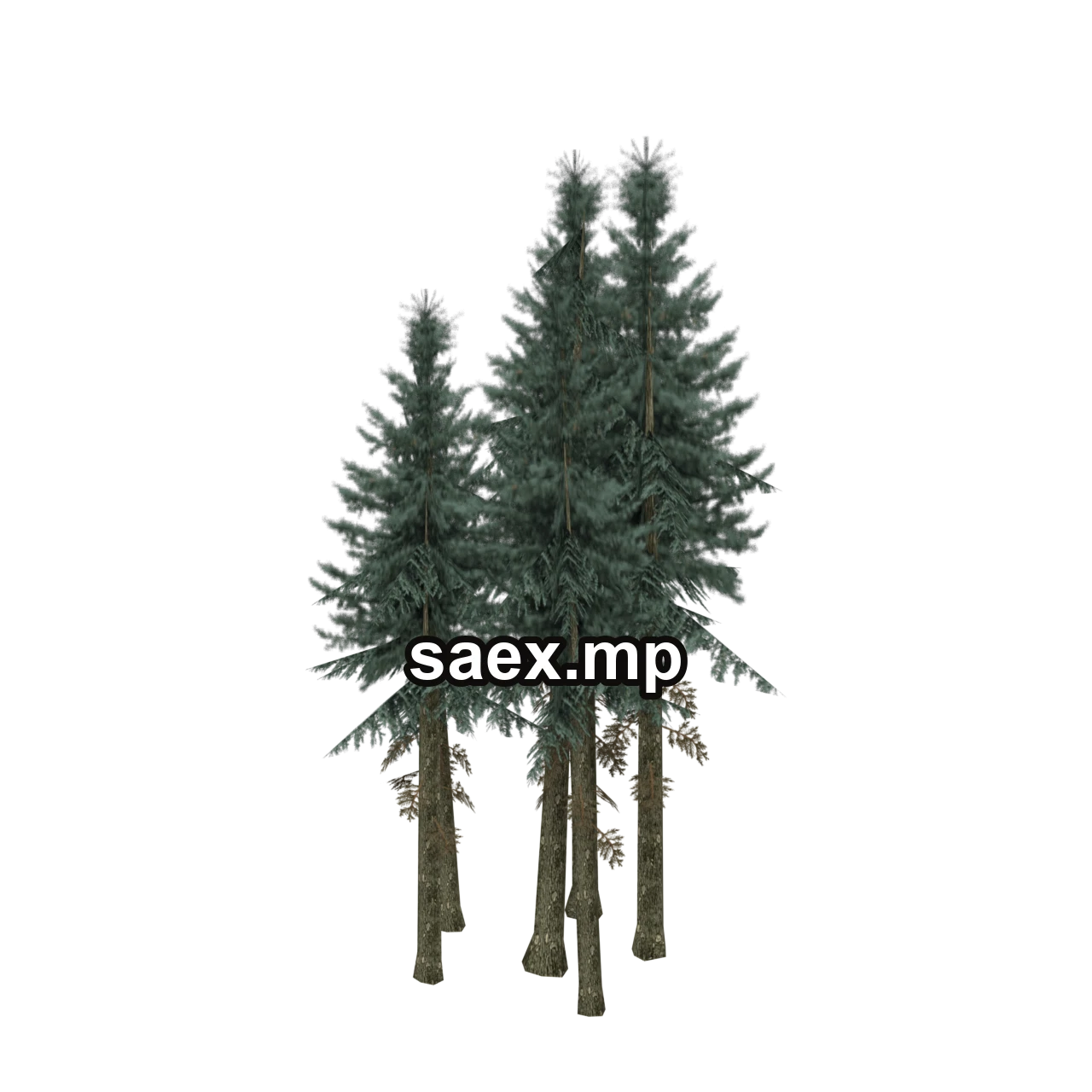 Obje önizlemesi · sm_fir_copse1