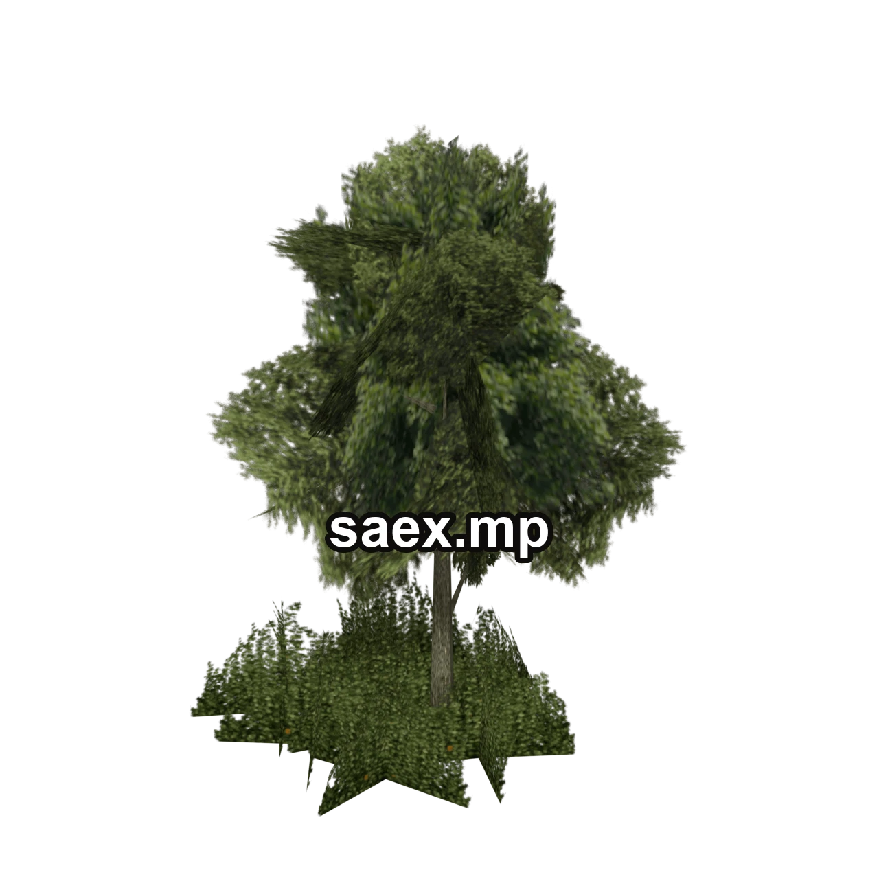 Obje önizlemesi · sm_veg_tree4_big