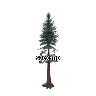 Object preview · sm_redwood_