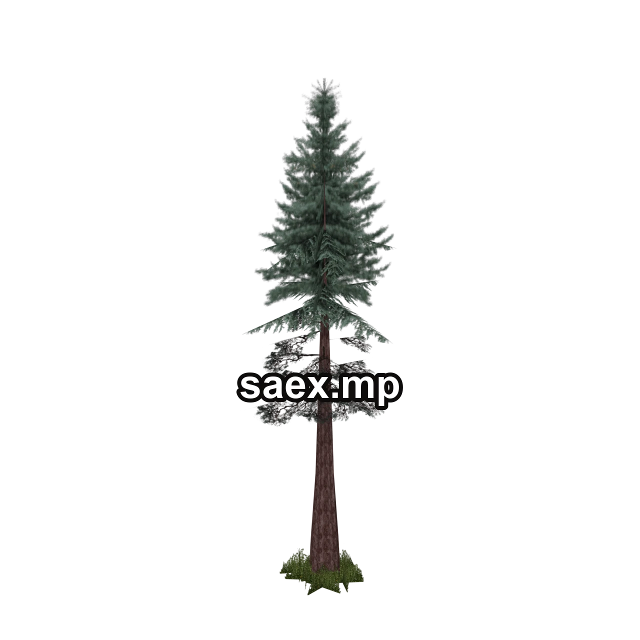 Obje önizlemesi · sm_redwood_