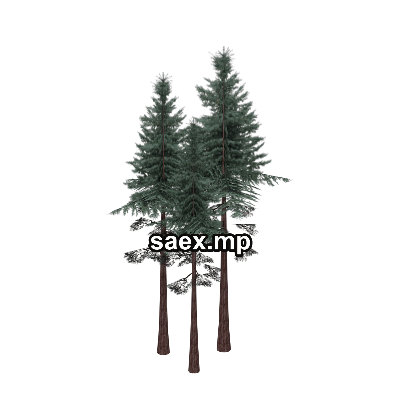 Obje önizlemesi · sm_redwoodgrp