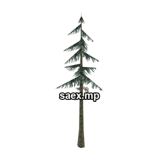 Object preview · sm_fir_scabt