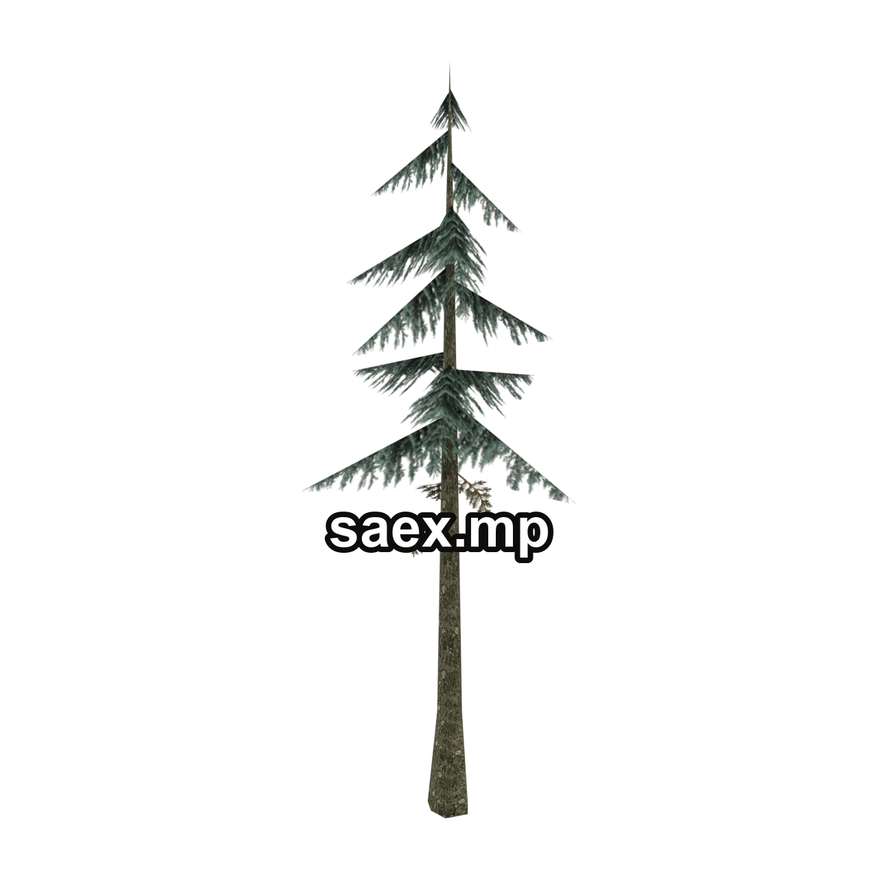 Object preview · sm_fir_scabt