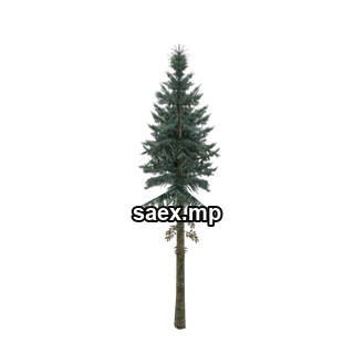 Object preview · sm_fir_tall