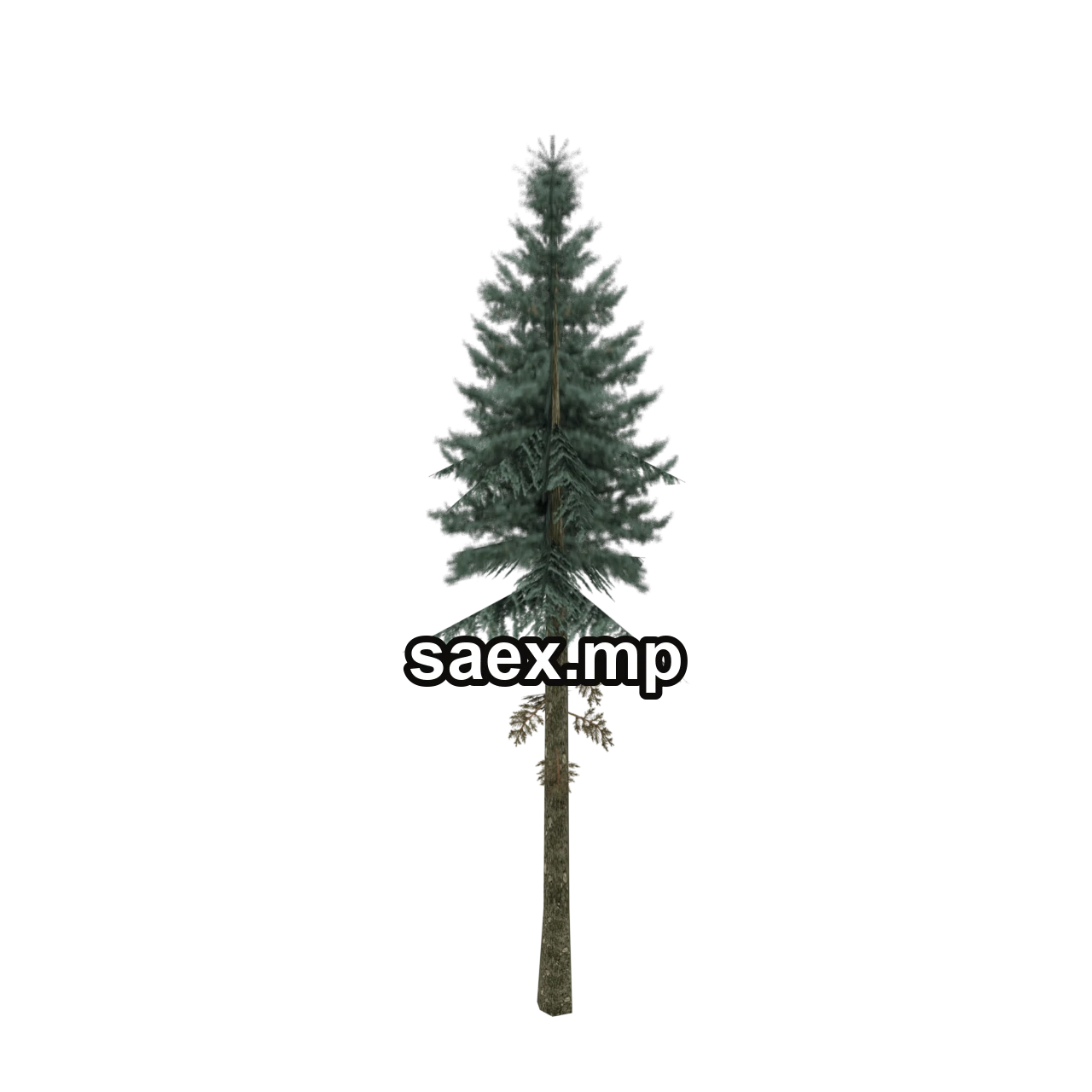 Obje önizlemesi · sm_fir_tall