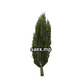 Object preview · sm_veg_tree6