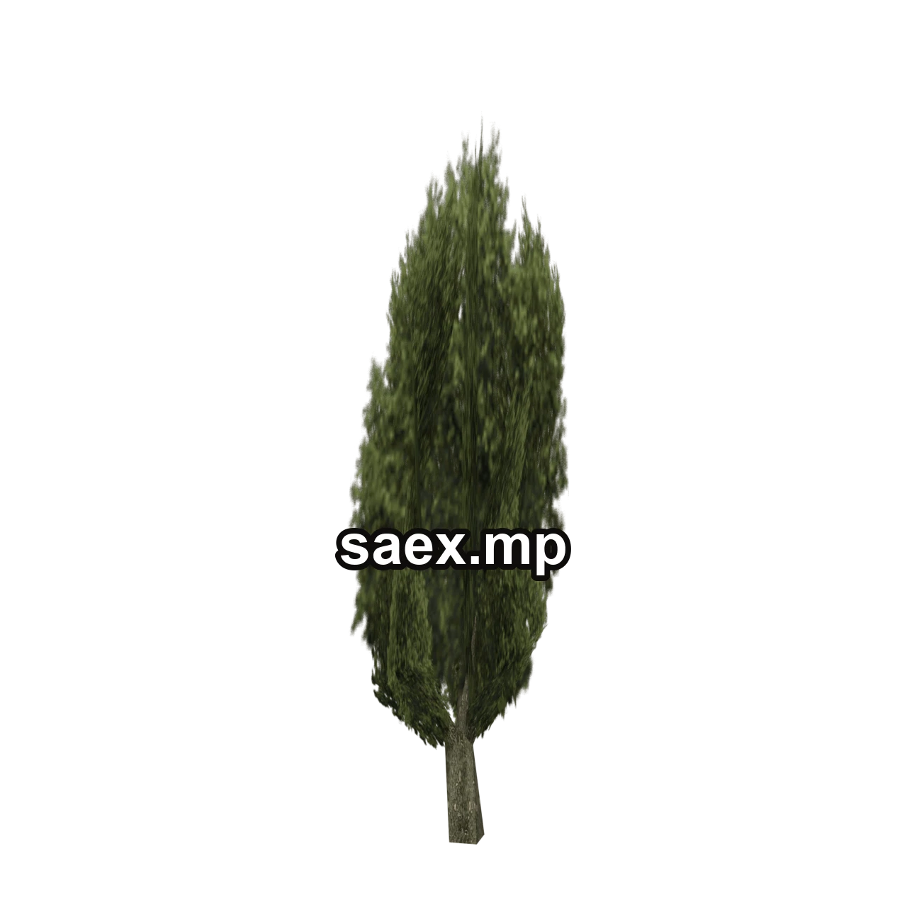 Object preview · sm_veg_tree6