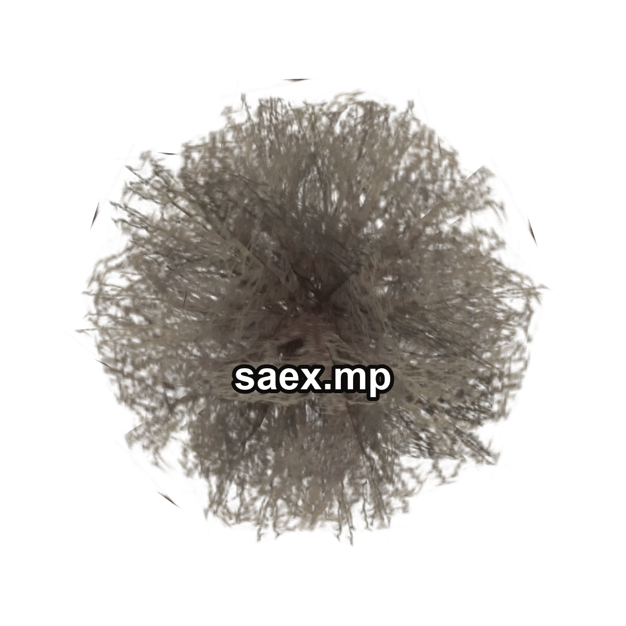 Obje önizlemesi · sm_tumblewd48p