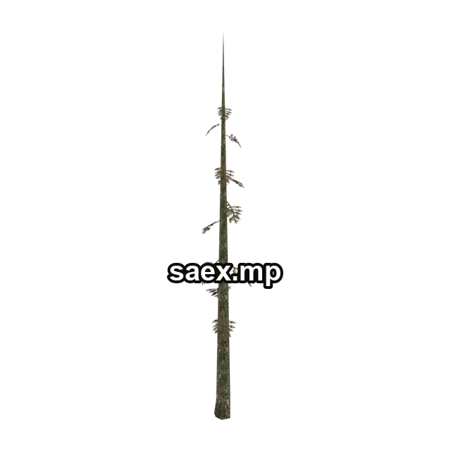 bg_fir_dead önizlemesi, model 704