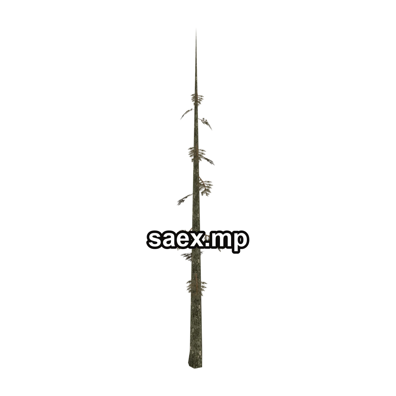 Object preview · bg_fir_dead