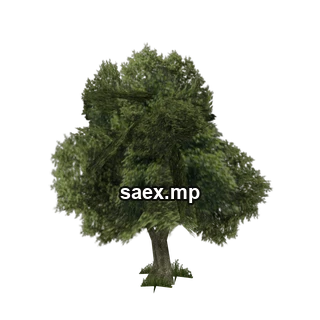 Object preview · sm_veg_tree7vbig