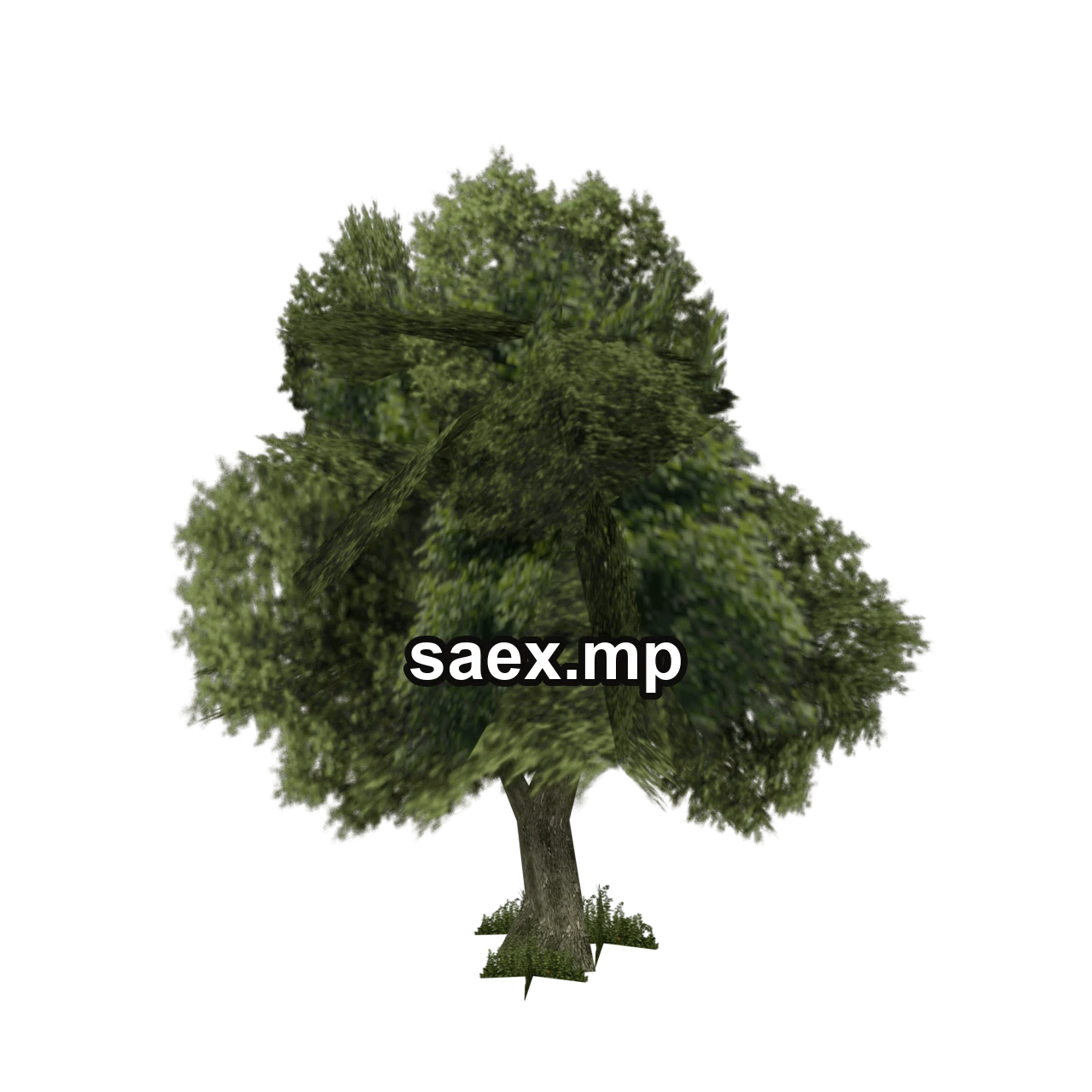 Obje önizlemesi · sm_veg_tree7vbig