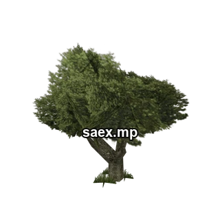Object preview · sm_vegvbbig