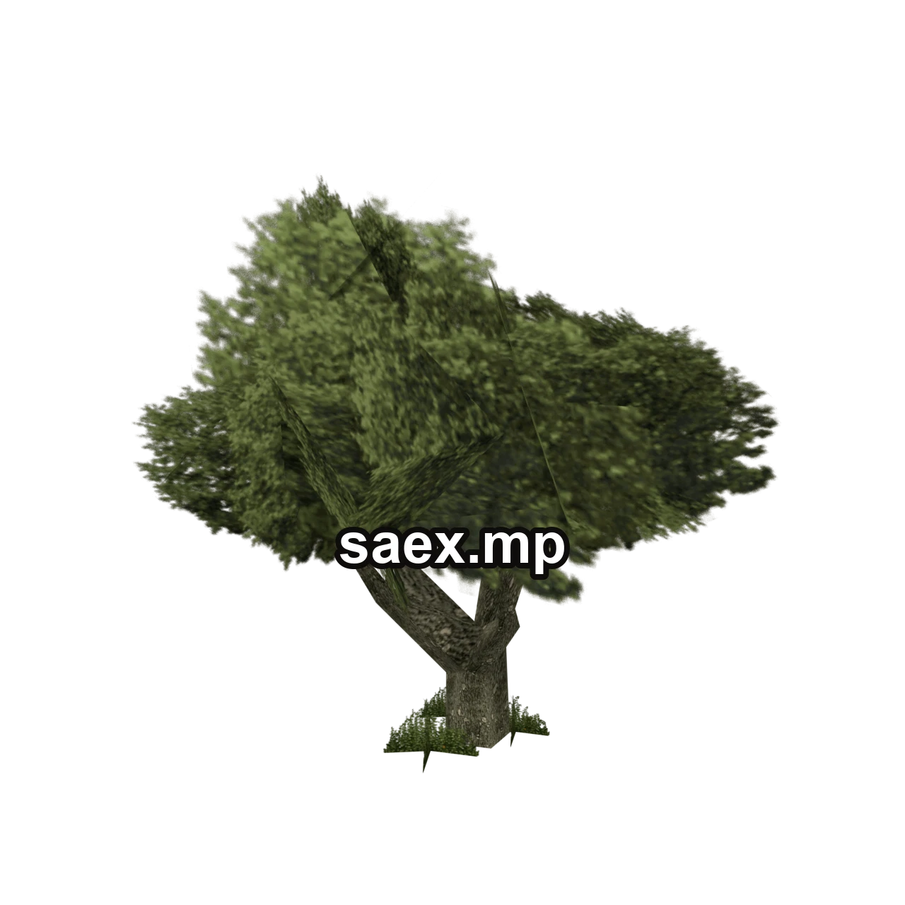 Obje önizlemesi · sm_vegvbbig